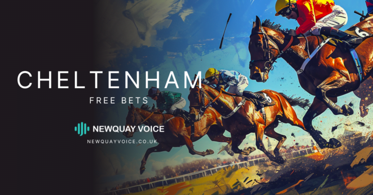 cheltenham free bets