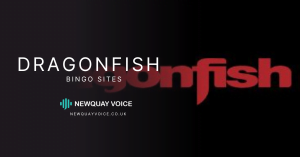 Dragonfish Bingo Sites