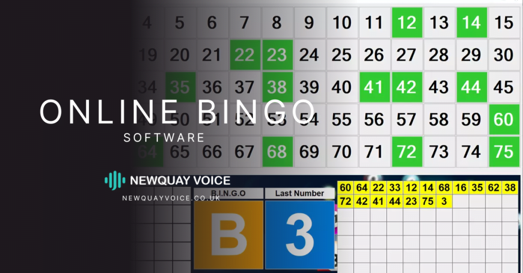 online bingo software