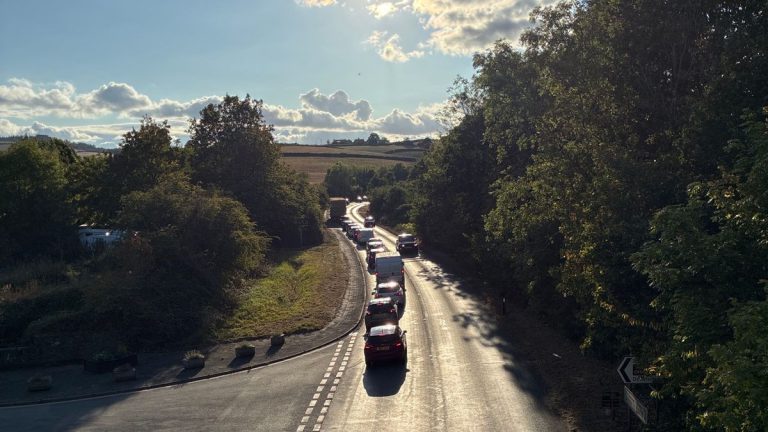 Girl, 11, Airlifted After Suffering Life-Changing Injuries in Devon Crash