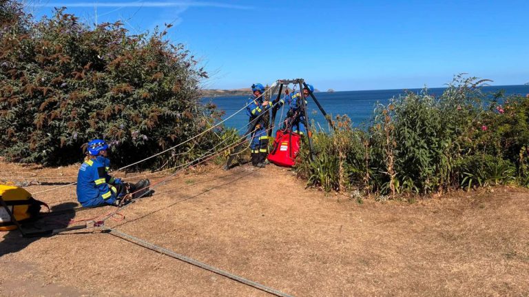 Jack Russell Rescued From 30ft Ledge After Portscatho Cliff Fall