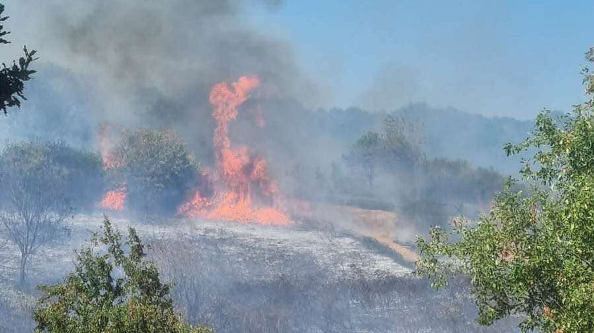 New map shows Devon areas with highest wildfire risk