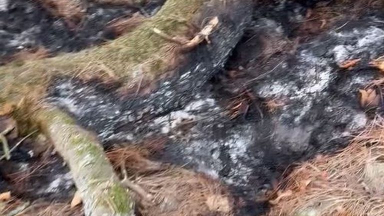 Walker's Smoke Spotting Prevented Large Cornwall Fire
