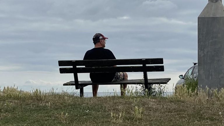 Torbay Council Defends Two-Tier Memorial Bench Charges