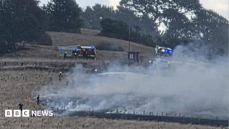 Firefighters Tackle Significant Wildfire Near Tamar Bridge