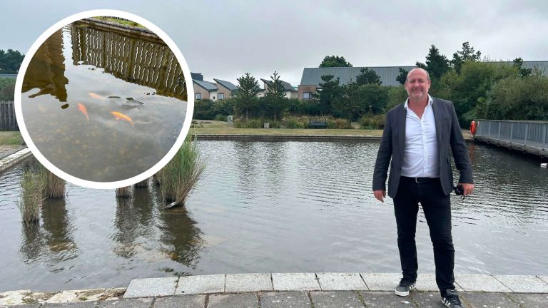 Cornwall MP Intervenes Over Heartlands Pond Fish Deaths