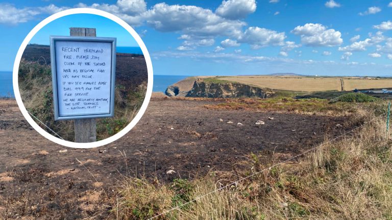 National Trust Posts Warning Sign at Cornwall Wildfire Site