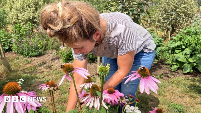 Land Match Scheme Pairs Owners With Growers in Cornwall