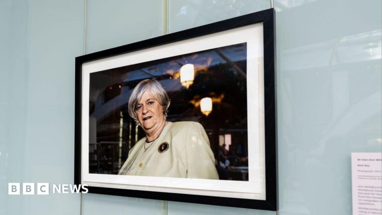 Ann Widdecombe Portrait Installed in Parliament for MPs' Return