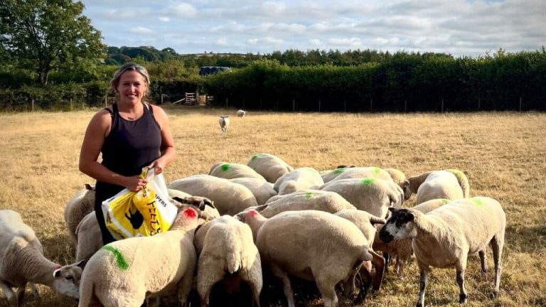 Devon Councillor Welcomes Drought Package but Calls for Bluetongue Action