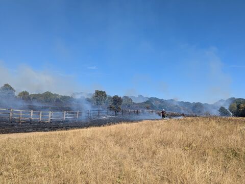 Fire at Mincinglake Valley Park