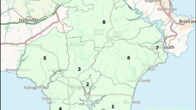 Councillors Warn 'Dilution of Democracy' as Devon Ward Boundaries Shift