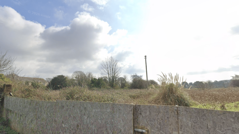 Devon Wildlife Trust Urges Refusal of Starcross Commercial Units