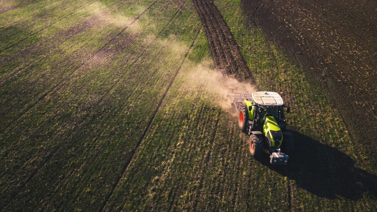 Devon Farmers Pushed to Limit by Drought and Disease