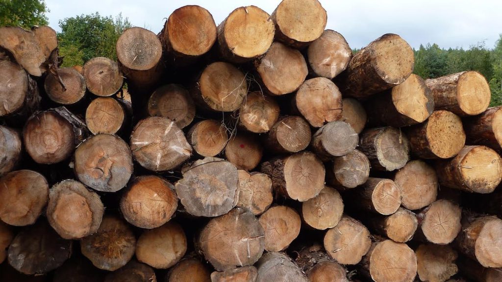 Sawmill Company and Director Fined £20,000 for Safety Breaches