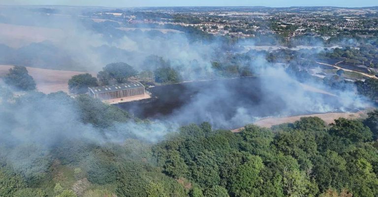 Exeter wildfire ‘now contained’ as firefighters’ efforts continue overnight at Mincinglake Valley Park