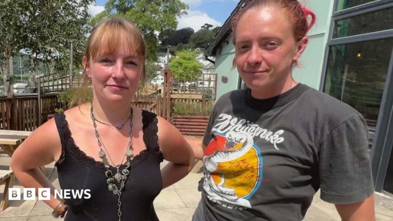 Calstock Residents Seek Help With Swarms of Biting Insects