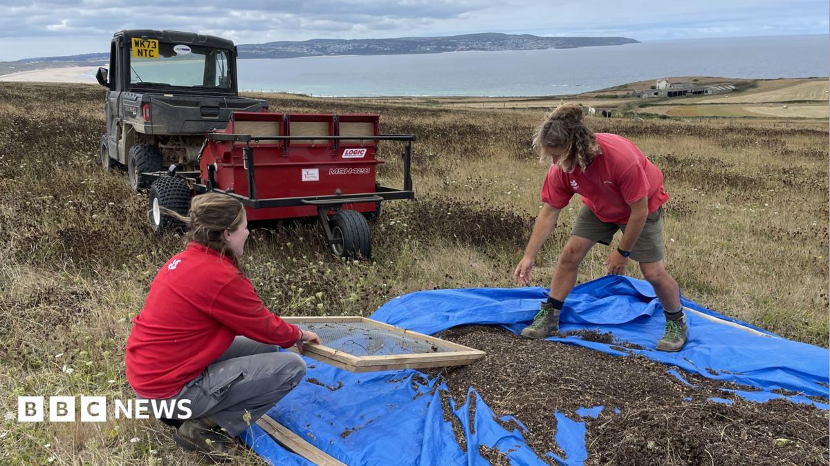 Cornwall's Green Champions Nominated for BBC Environmental Award