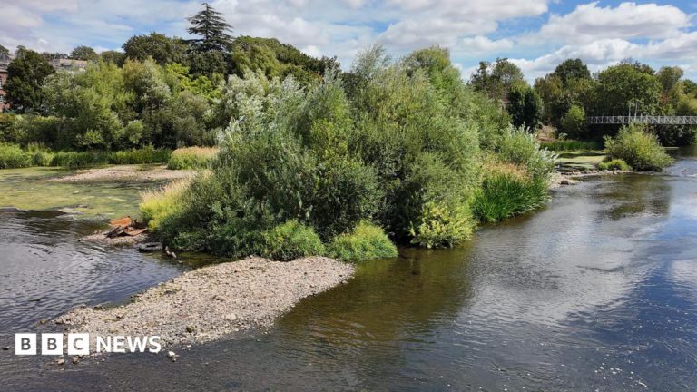 Devon and Cornwall Rivers Hit Record Lows as Drought Persists