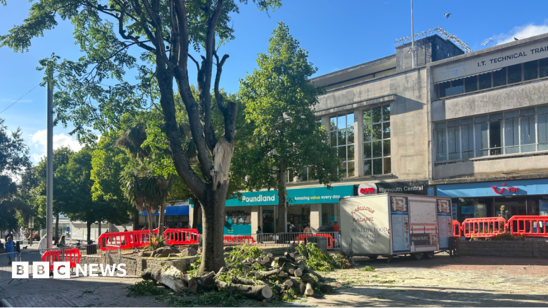 Heat Stress Blamed in Plymouth Tree Branch Collapse