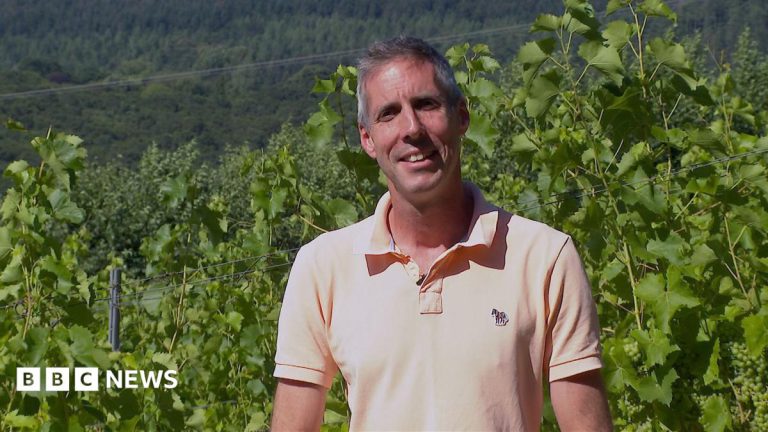 Winemakers Say Heat Leaves Them in Uncharted Territory