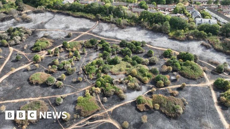 Exeter Wildfire Damage at Country Park Still Being Assessed