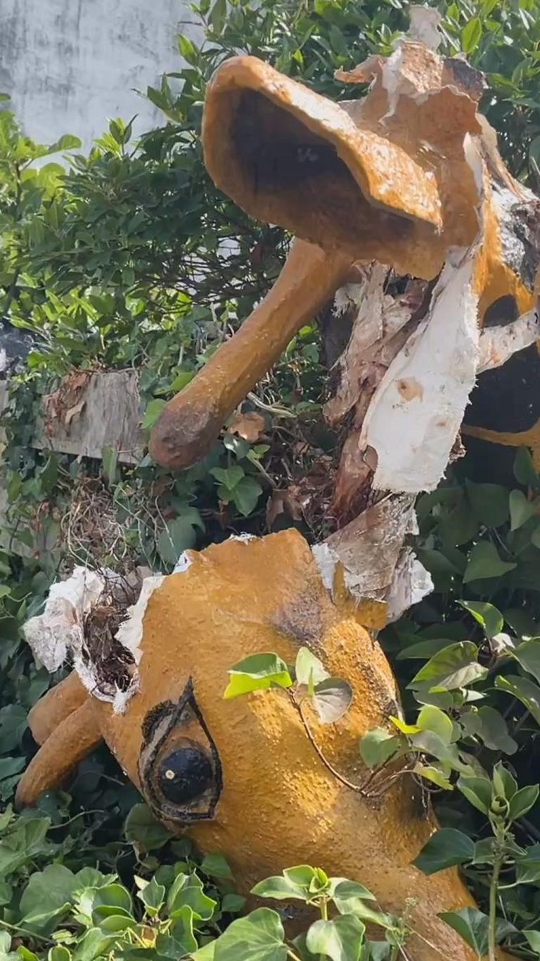 Sports Club Members Admit Damaging Giraffe Sculpture