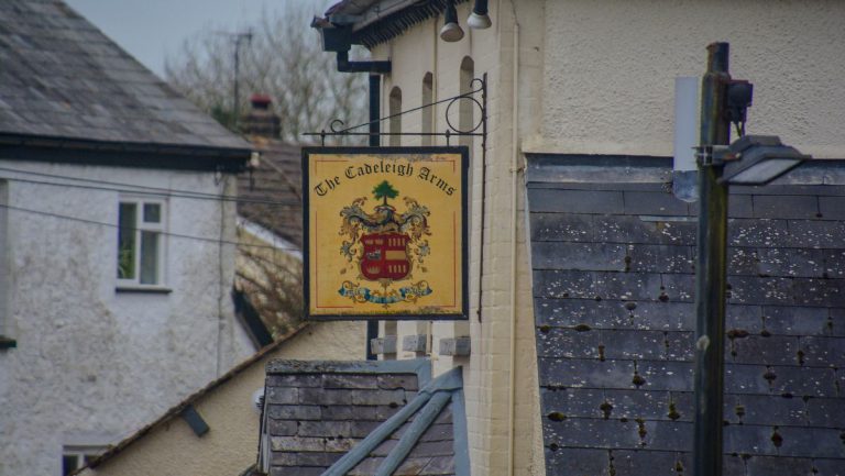 Mid Devon Planning List Covers Cadeleigh, Spiceland and Dog Field