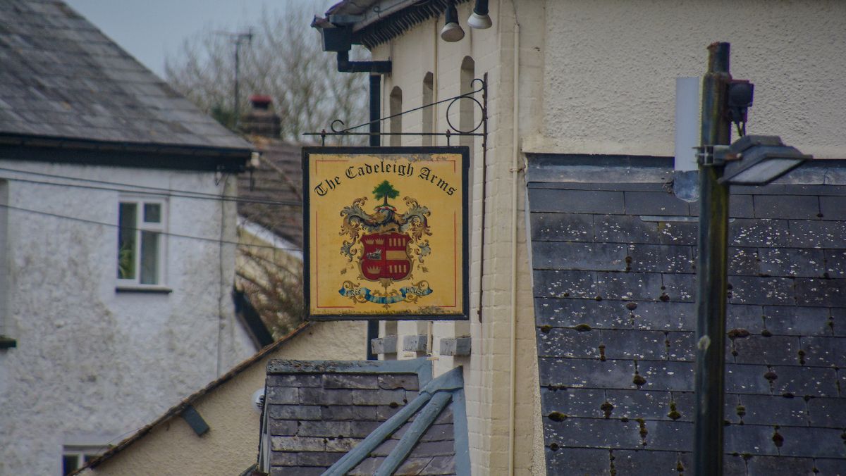 Mid Devon Planning List Covers Cadeleigh, Spiceland and Dog Field