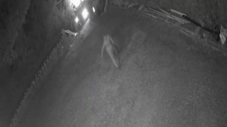 CCTV Footage Captures Vandals Targeting Cornwall Islamic Centre