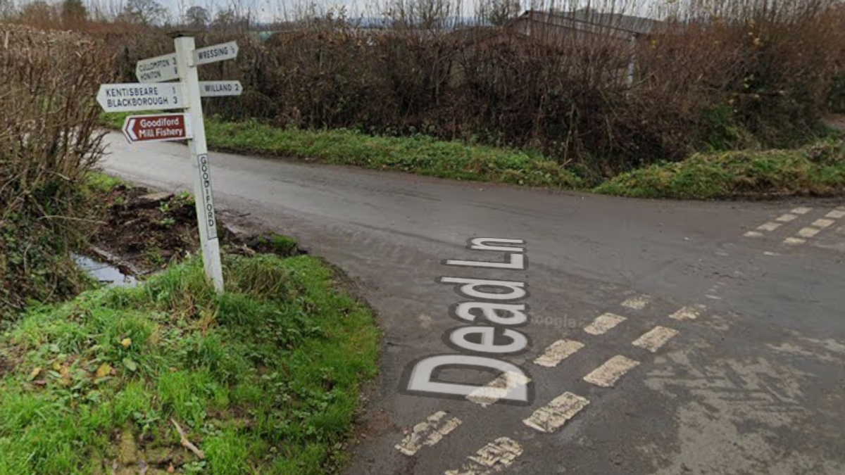 Wife Feared Killed in Devon Country Lane Assault