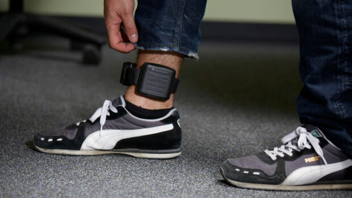 GPS Tags Track Over 400 in Devon and Cornwall