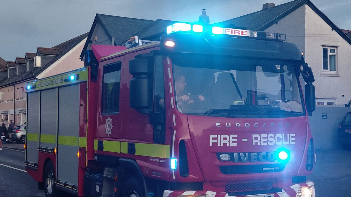 Firefighters Rescue Dog After Breaking Into Honiton Home