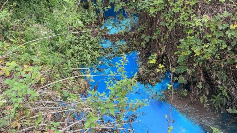 Swim Warning Issued After Devon Stream Turns Blue