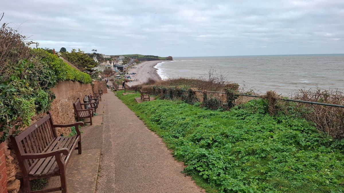 Retired Devon Teacher Dies After Being Pulled From Sea