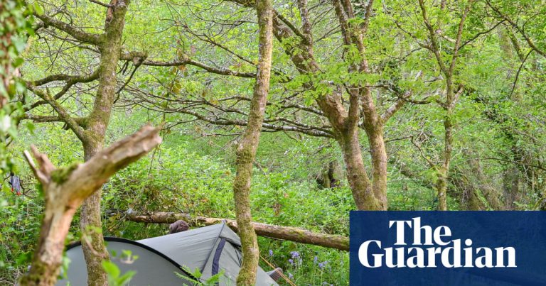 Camping Beside One of Britain's Last Rainforests
