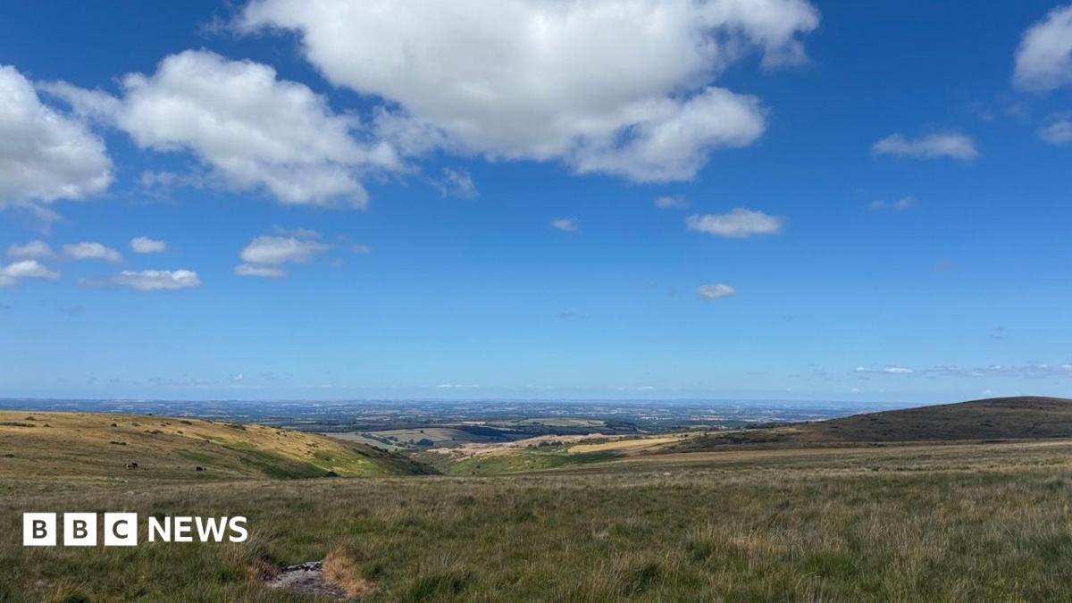 Devon Council Reorganisation Pause Leaves Millions Bill