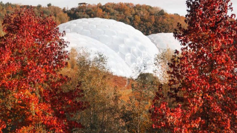 Cornwall Christmas Fair Returns to Eden Project This November