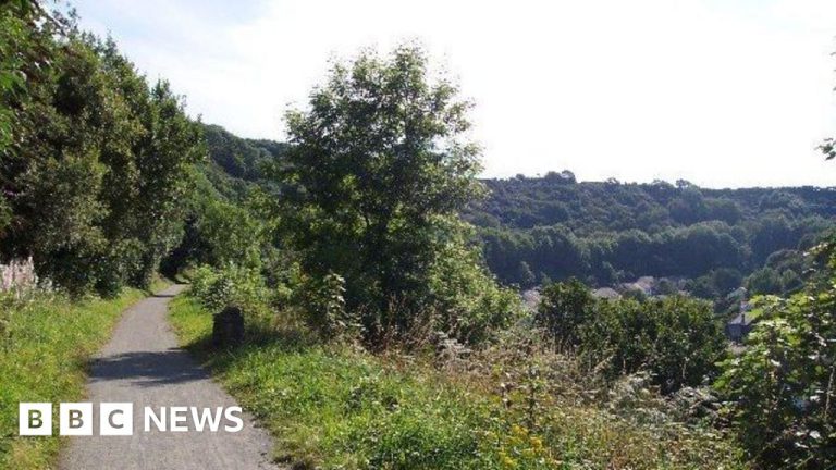 Council Approves Land Buy for Community Woodland