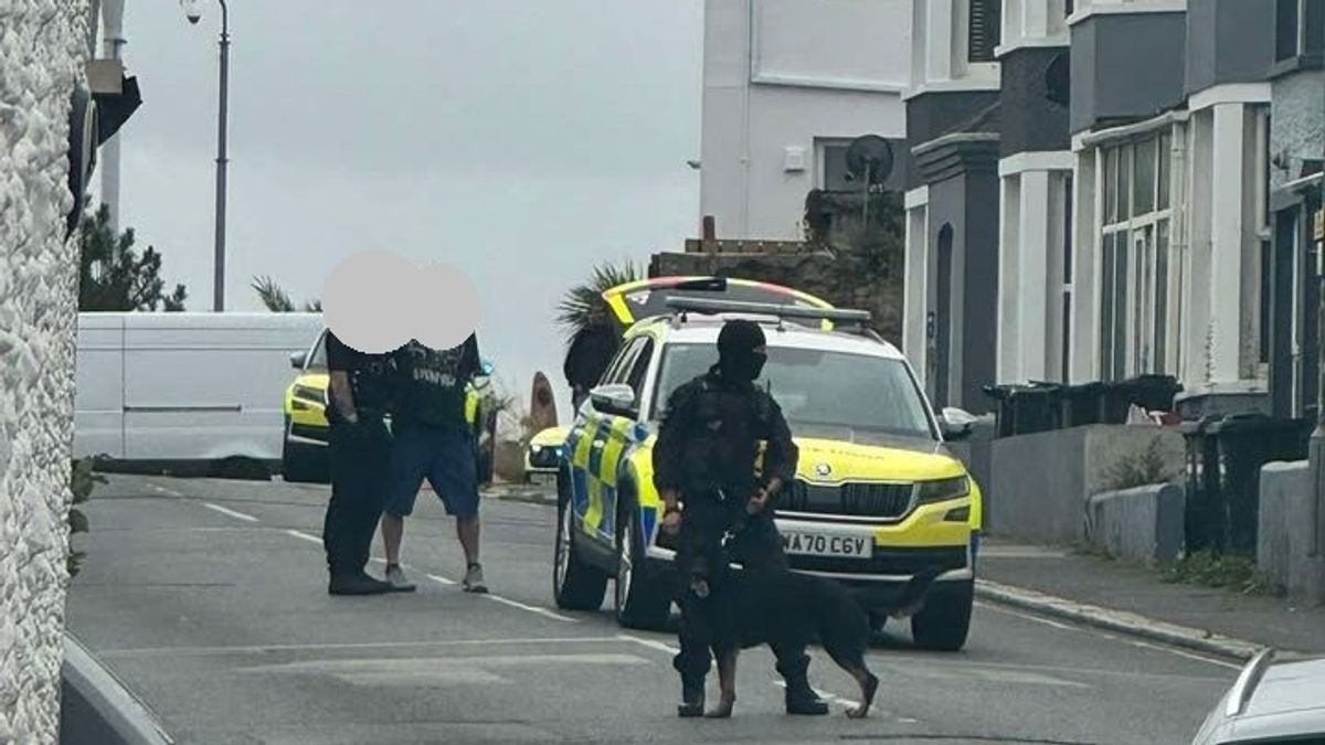 Armed Officers Called to Newquay Street Incident