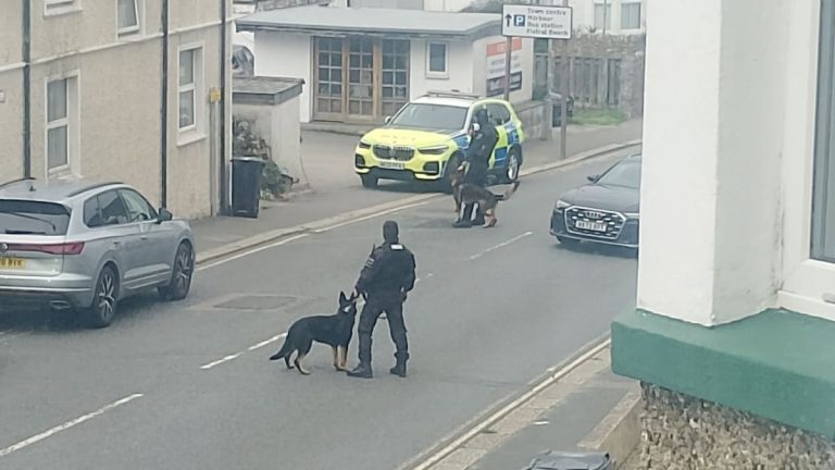 Man Arrested After Armed Police Swoop in Newquay