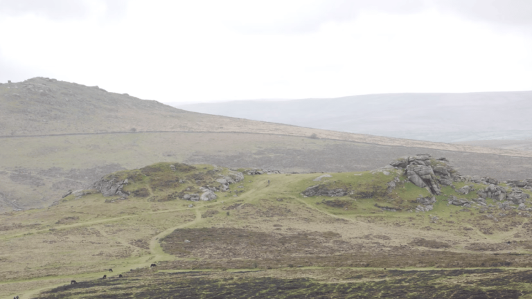 Community Events to Showcase New Dartmoor Landscape Scheme