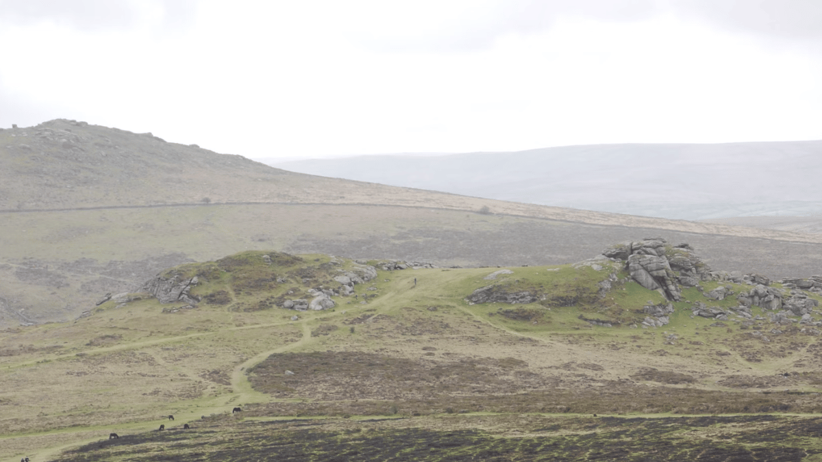 Community Events to Showcase New Dartmoor Landscape Scheme
