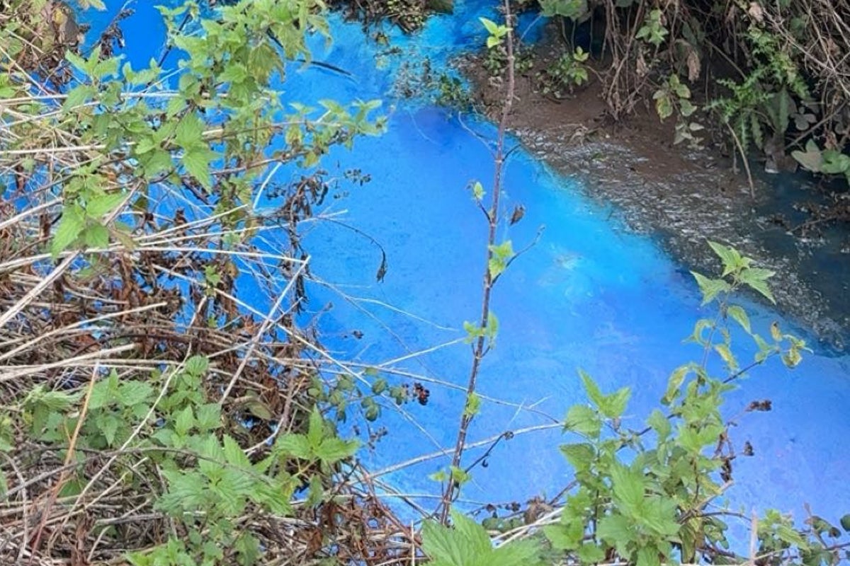 Pollution Turns Devon Beauty Spot River Fluorescent Blue