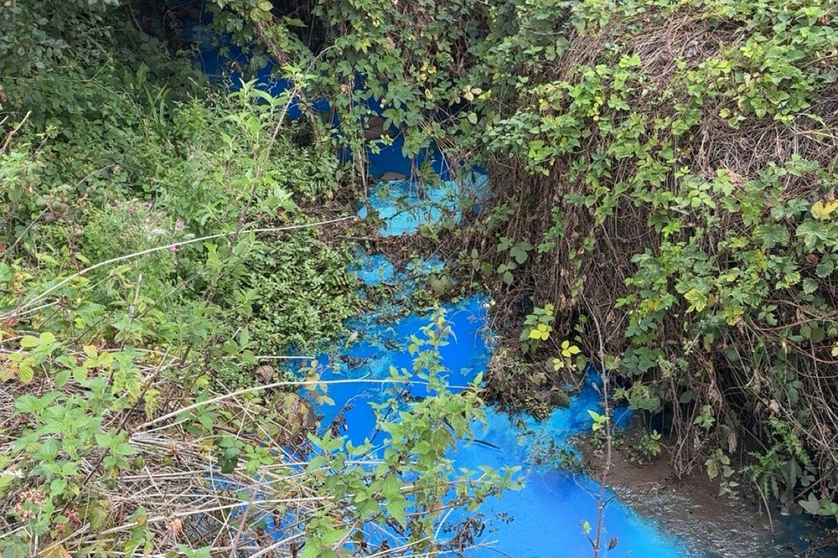 Swim Warning Issued After Pollutant Turns River Bright Blue