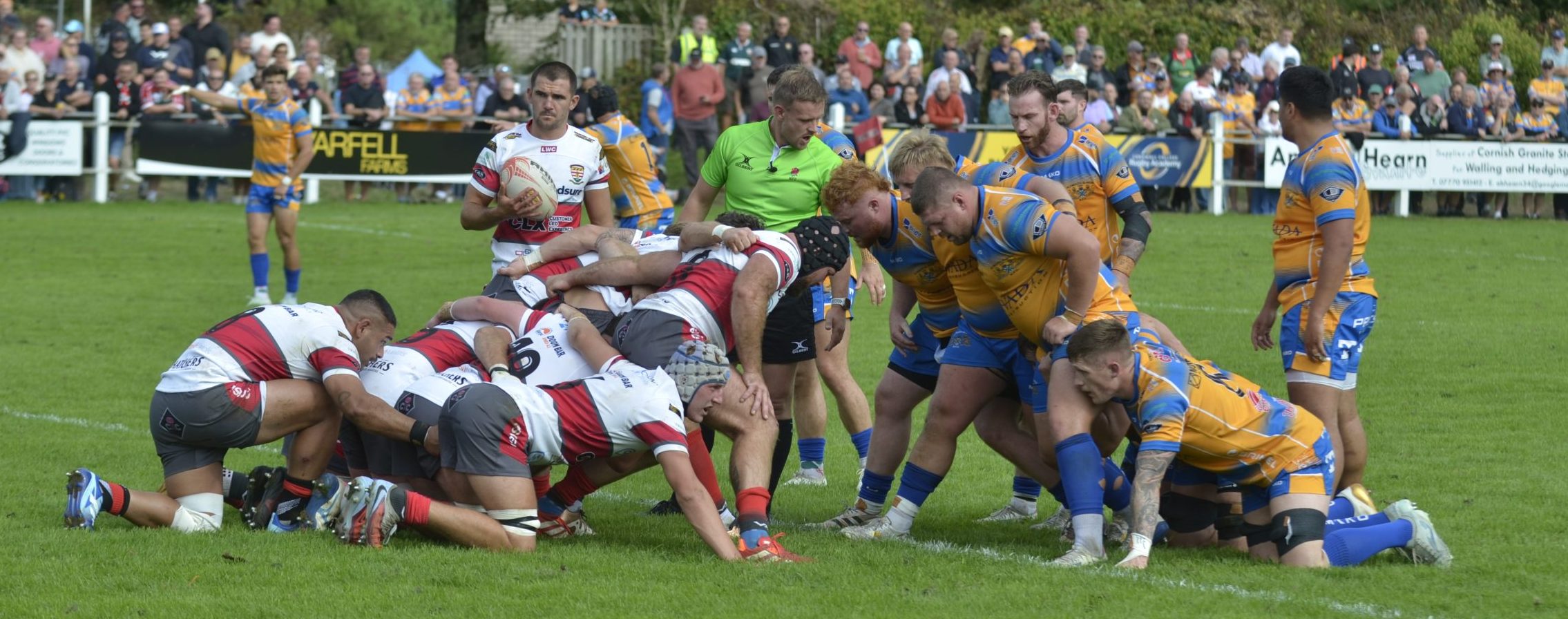 Plymouth Albion Secure Maximum Points at Camborne