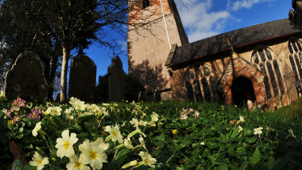 Discover Teignbridge's Historic Churches on Open Day
