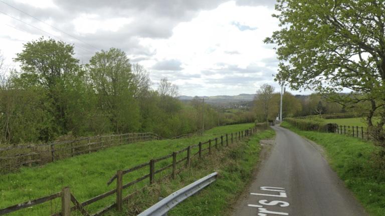 Devon Highways Backs Chudleigh Dog-Walking Field Plan