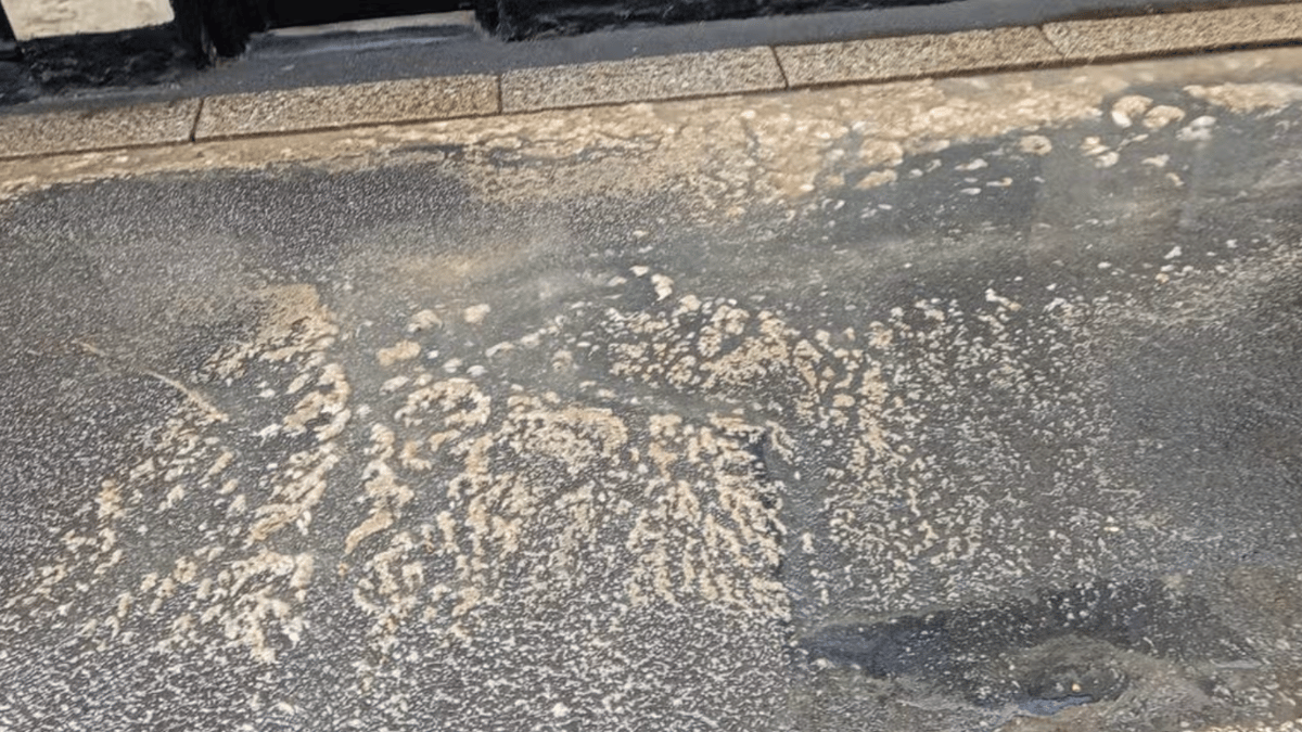 Sewage and Water Flood Busy Fowey Street