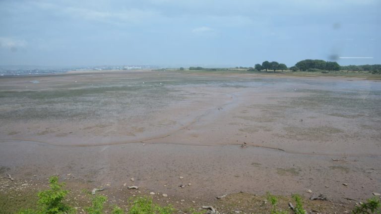 Exe Estuary Trail Sections to Close for Maintenance